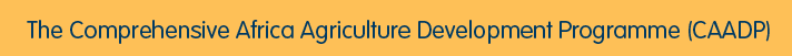 The Comprehensive Africa Agriculture Development Programme (CAADP)
